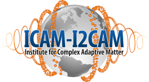 icam-i2cam_logo